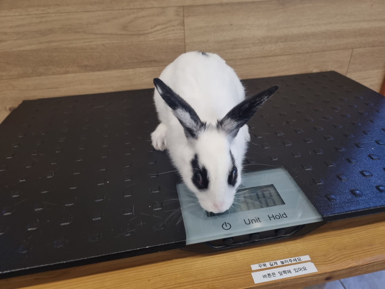 프렌즈동물병원_445464202402980